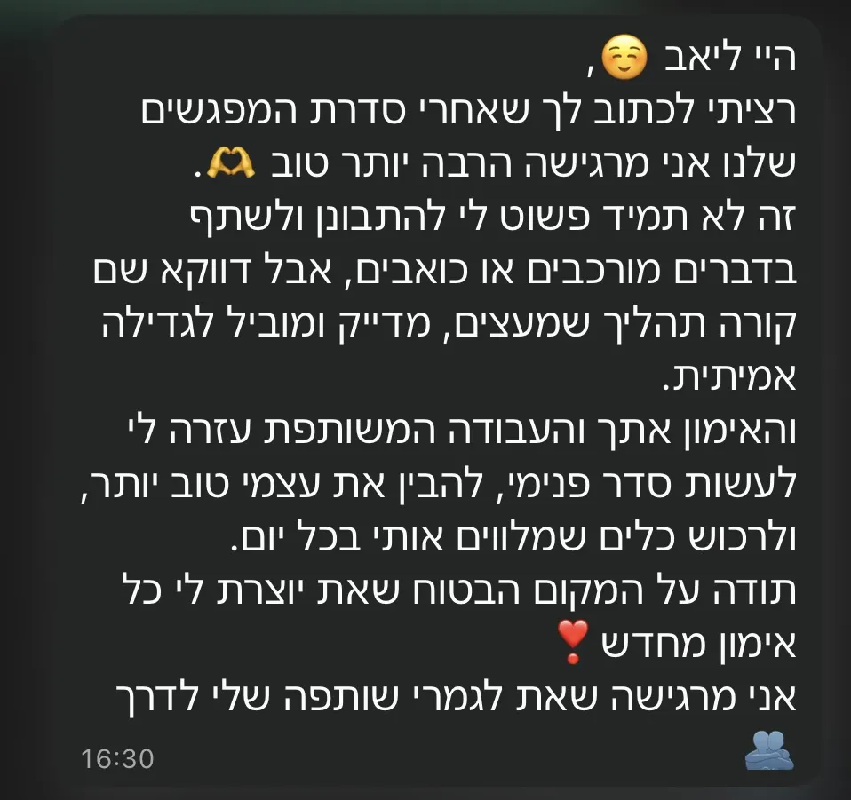 המלצה 1